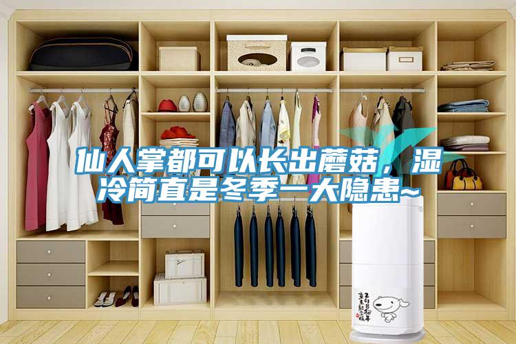 仙人掌都可以長出蘑菇，濕冷簡(jiǎn)直是冬季一大隱患~