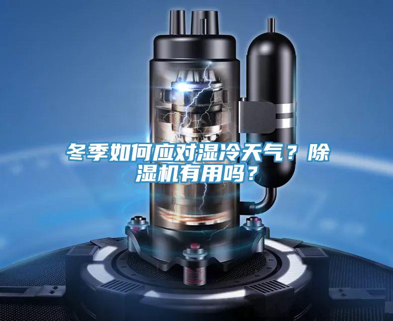 冬季如何應(yīng)對(duì)濕冷天氣？除濕機(jī)有用嗎？
