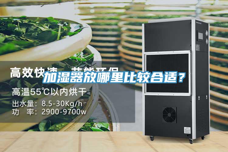 加濕器放哪里比較合適？