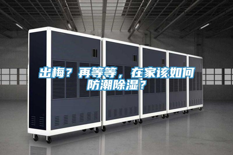 出梅？再等等，在家該如何防潮除濕？