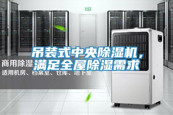 吊裝式中央除濕機(jī)，滿足全屋除濕需求