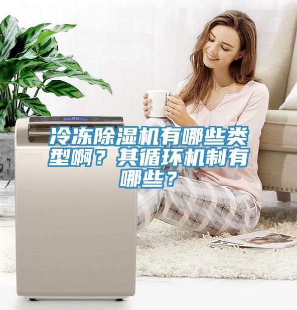 冷凍除濕機(jī)有哪些類型?。科溲h(huán)機(jī)制有哪些？