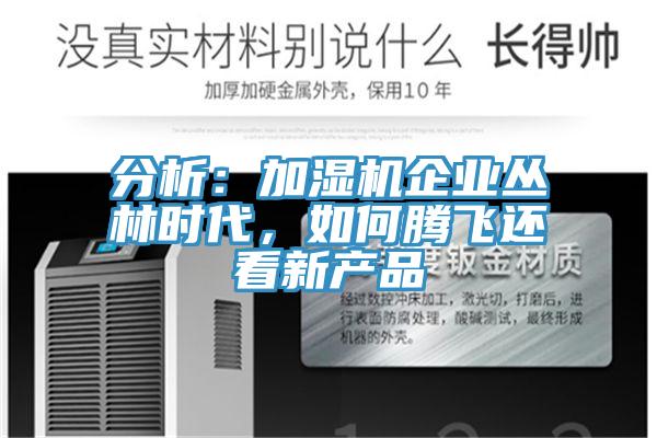 分析：加濕機(jī)企業(yè)叢林時(shí)代，如何騰飛還看新產(chǎn)品