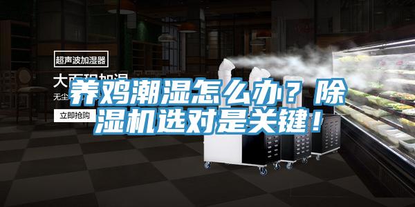 養(yǎng)雞潮濕怎么辦？除濕機(jī)選對是關(guān)鍵！