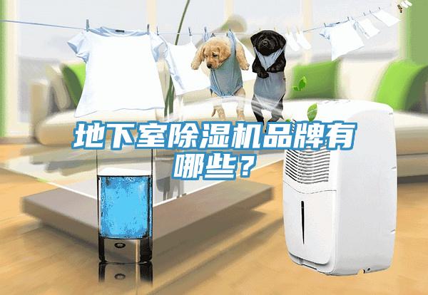 地下室除濕機(jī)品牌有哪些？