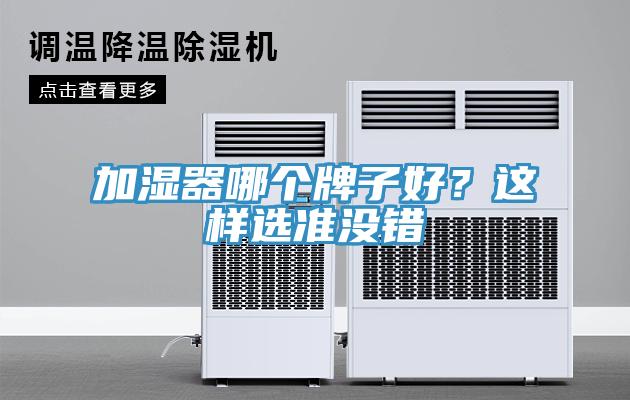 加濕器哪個(gè)牌子好？這樣選準(zhǔn)沒錯(cuò)