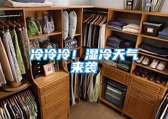 冷冷冷！濕冷天氣來襲