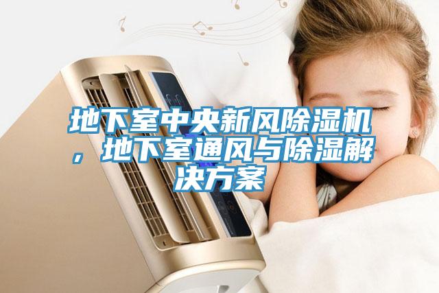 地下室中央新風(fēng)除濕機(jī)，地下室通風(fēng)與除濕解決方案
