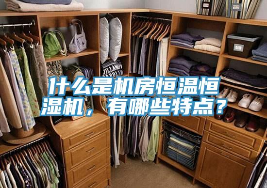 什么是機(jī)房恒溫恒濕機(jī)，有哪些特點(diǎn)？