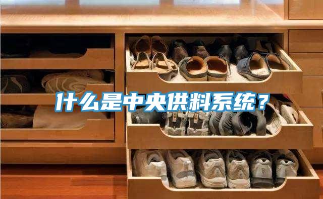 什么是中央供料系統(tǒng)？