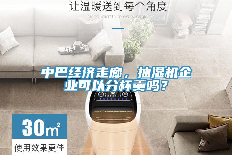 中巴經(jīng)濟走廊，抽濕機企業(yè)可以分杯羹嗎？
