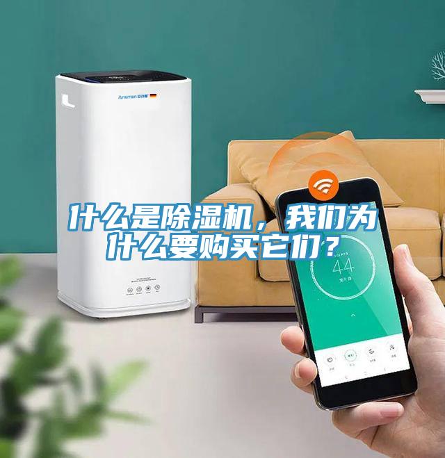 什么是除濕機(jī)，我們?yōu)槭裁匆?gòu)買它們？