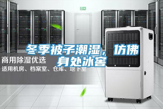 冬季被子潮濕，仿佛身處冰窖