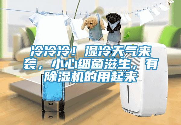 冷冷冷！濕冷天氣來襲，小心細菌滋生，有除濕機的用起來