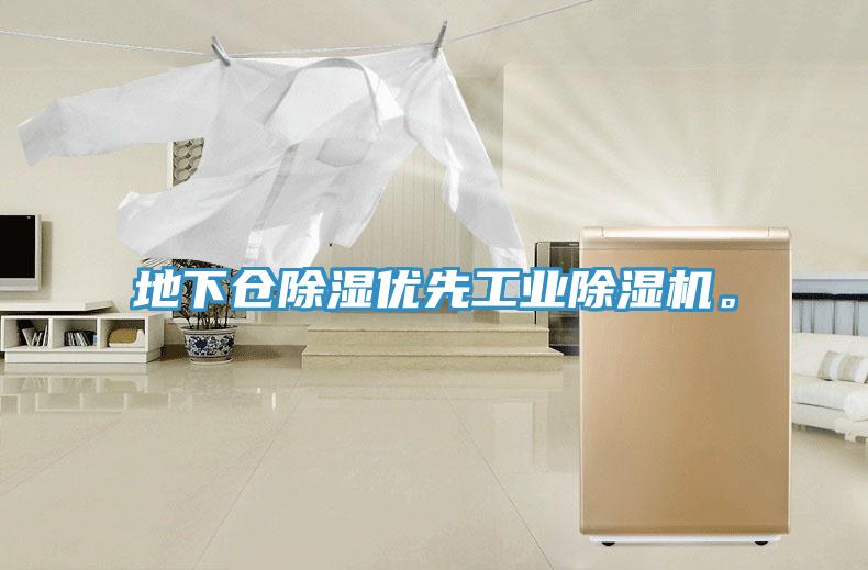 地下倉(cāng)除濕優(yōu)先工業(yè)除濕機(jī)。