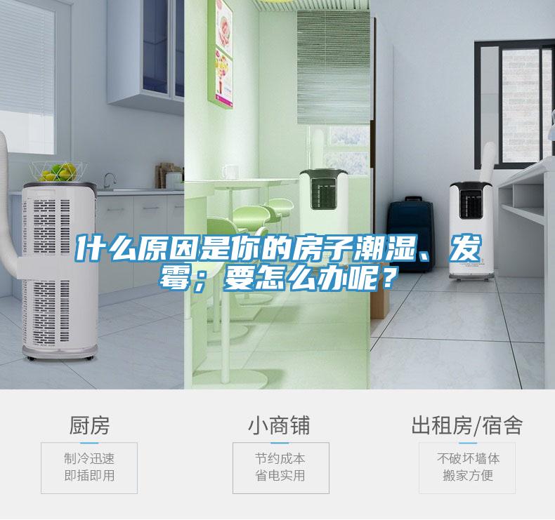 什么原因是你的房子潮濕、發(fā)霉；要怎么辦呢？