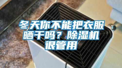 冬天你不能把衣服曬干嗎？除濕機很管用