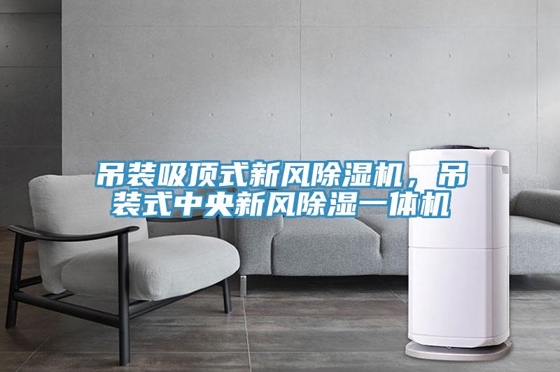 吊裝吸頂式新風(fēng)除濕機(jī)，吊裝式中央新風(fēng)除濕一體機(jī)