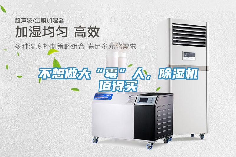 不想做大“霉”人，除濕機值得買