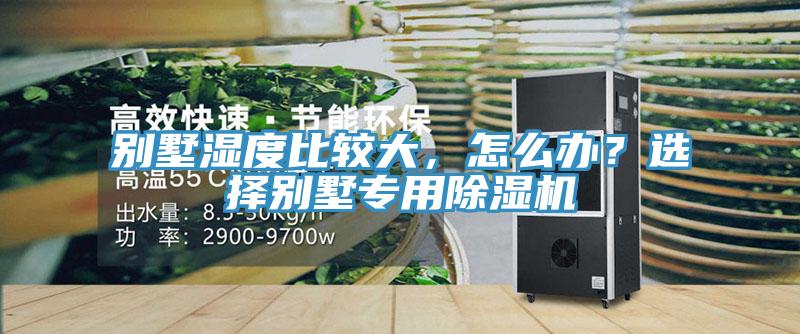別墅濕度比較大，怎么辦？選擇別墅專用除濕機