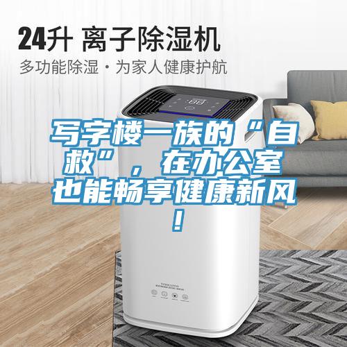 寫字樓一族的“自救”，在辦公室也能暢享健康新風(fēng)！