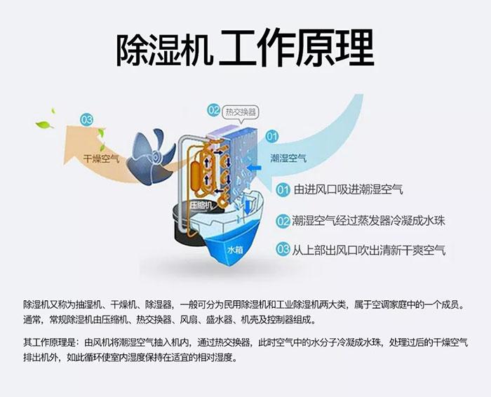 南方濕冷會(huì)致病你知道嗎？