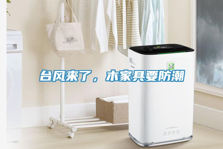 臺(tái)風(fēng)來(lái)了，木家具要防潮