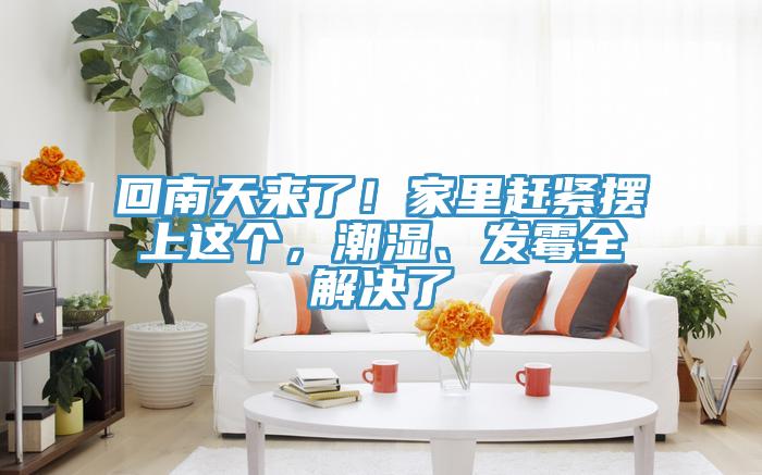 回南天來了！家里趕緊擺上這個，潮濕、發(fā)霉全解決了