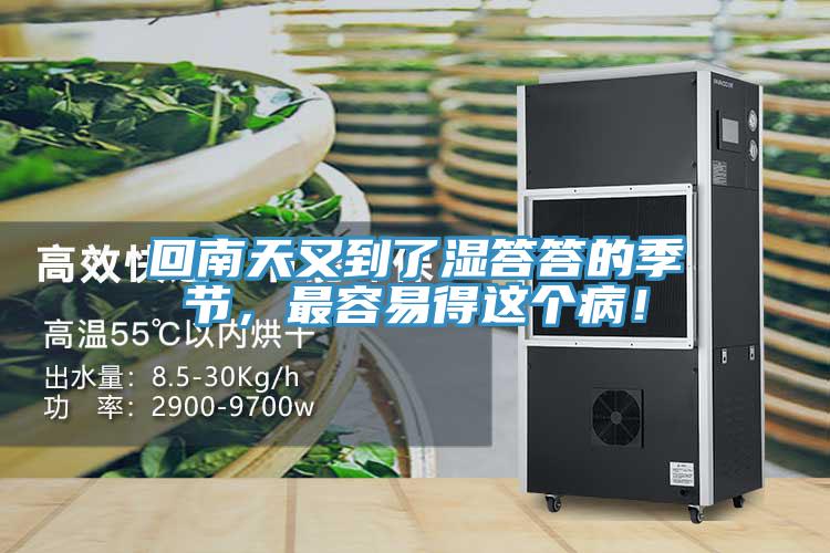 回南天又到了濕答答的季節(jié)，最容易得這個(gè)?。?></div>
								<div   id=