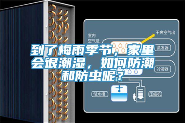 到了梅雨季節(jié)，家里會很潮濕，如何防潮和防蟲呢？