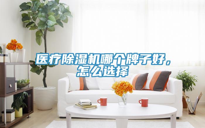 醫(yī)療除濕機(jī)哪個牌子好，怎么選擇
