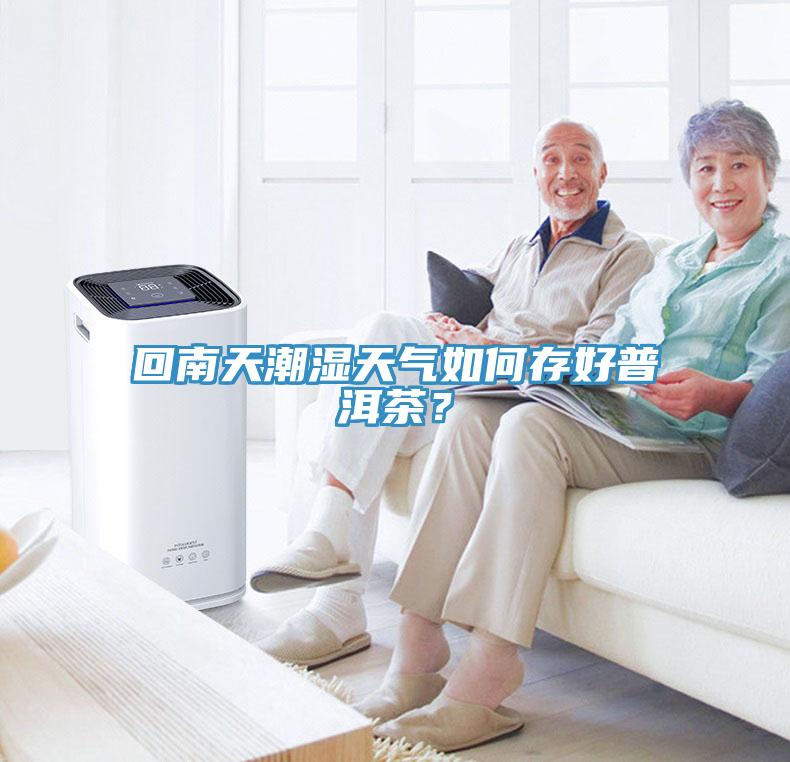 回南天潮濕天氣如何存好普洱茶？