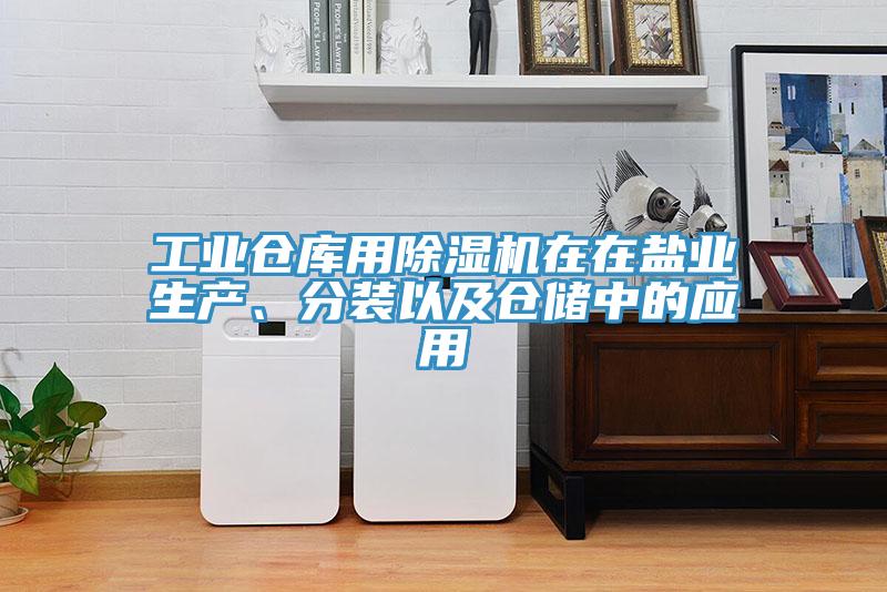 工業(yè)倉庫用除濕機在在鹽業(yè)生產(chǎn)、分裝以及倉儲中的應用