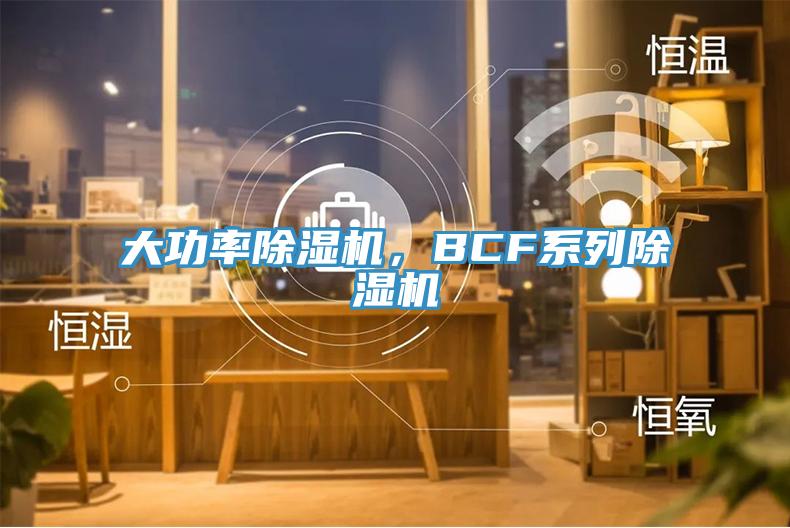 大功率除濕機，BCF系列除濕機