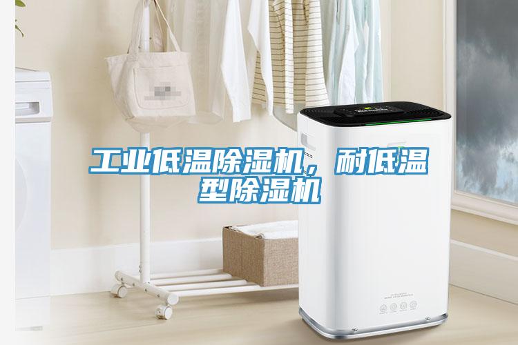 工業(yè)低溫除濕機，耐低溫型除濕機