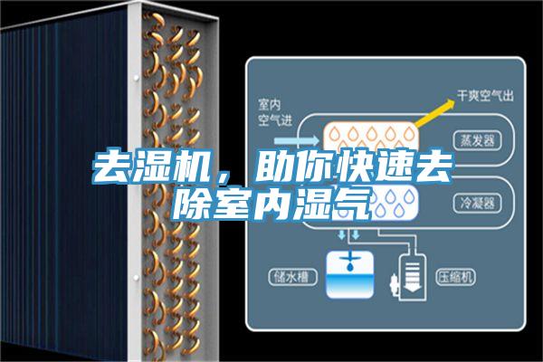 去濕機(jī)，助你快速去除室內(nèi)濕氣