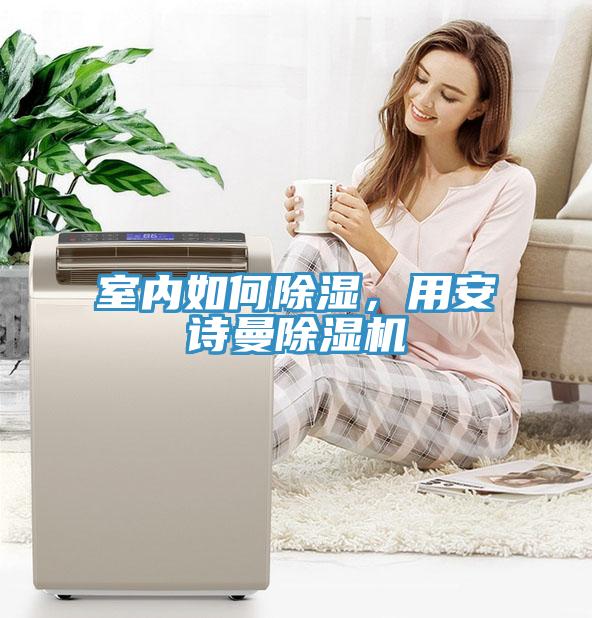 室內(nèi)如何除濕，用安詩曼除濕機