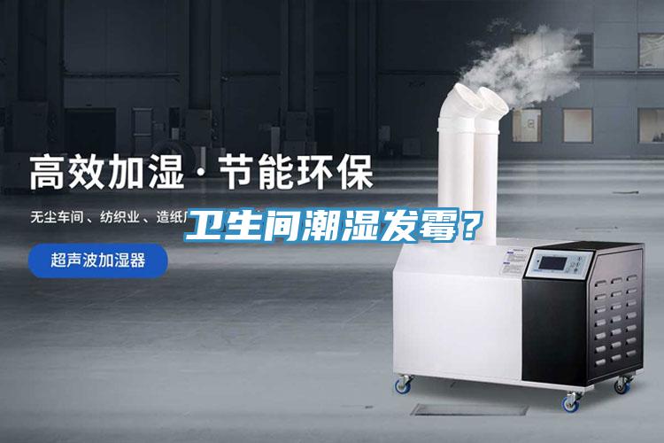 衛(wèi)生間潮濕發(fā)霉？