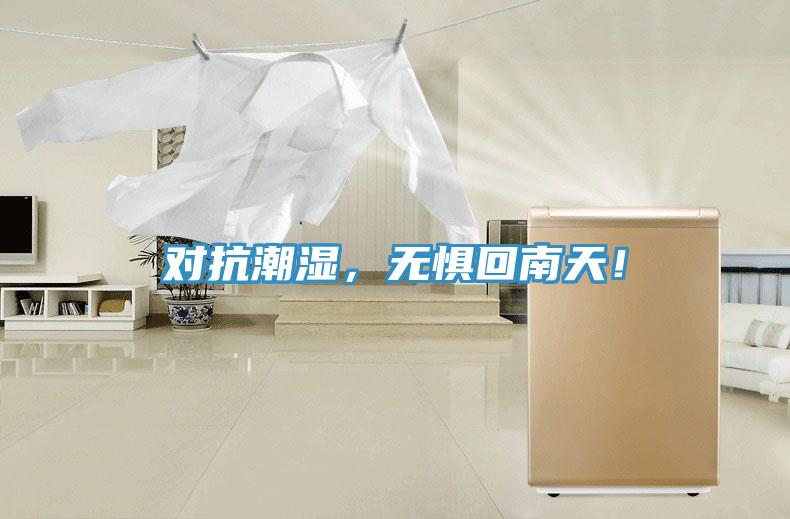 對抗潮濕，無懼回南天！