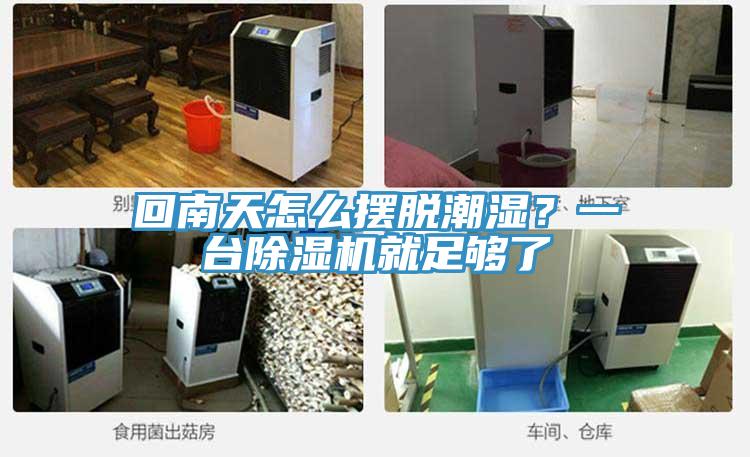 回南天怎么擺脫潮濕？一臺(tái)除濕機(jī)就足夠了