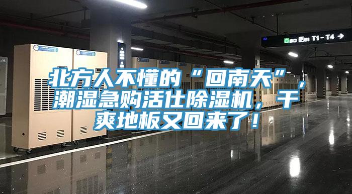 北方人不懂的“回南天”，潮濕急購(gòu)活仕除濕機(jī)，干爽地板又回來(lái)了！