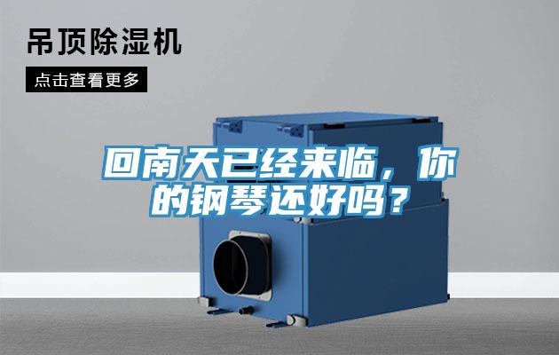 回南天已經(jīng)來臨，你的鋼琴還好嗎？