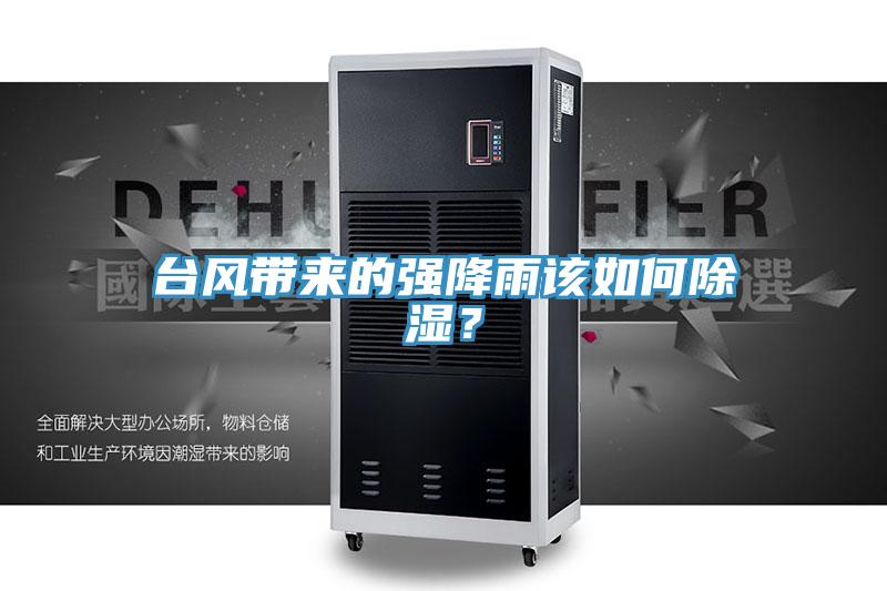 臺風(fēng)帶來的強降雨該如何除濕？