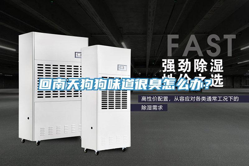 回南天狗狗味道很臭怎么辦？