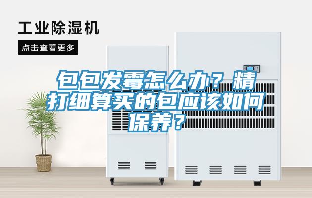包包發(fā)霉怎么辦？精打細算買的包應(yīng)該如何保養(yǎng)？