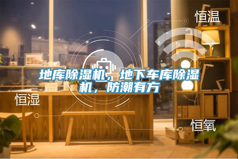地庫除濕機(jī)，地下車庫除濕機(jī)，防潮有方