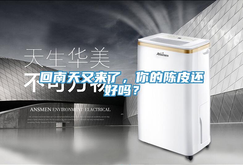 回南天又來了，你的陳皮還好嗎？