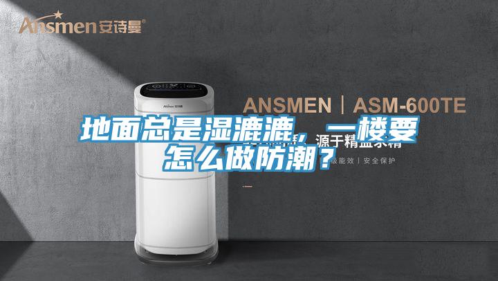地面總是濕漉漉，一樓要怎么做防潮？