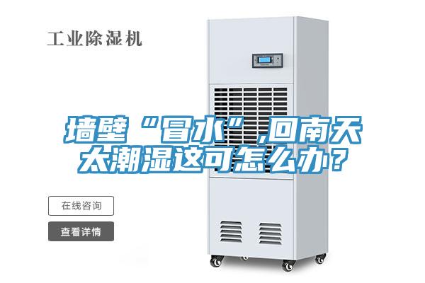 墻壁“冒水”,回南天太潮濕這可怎么辦？