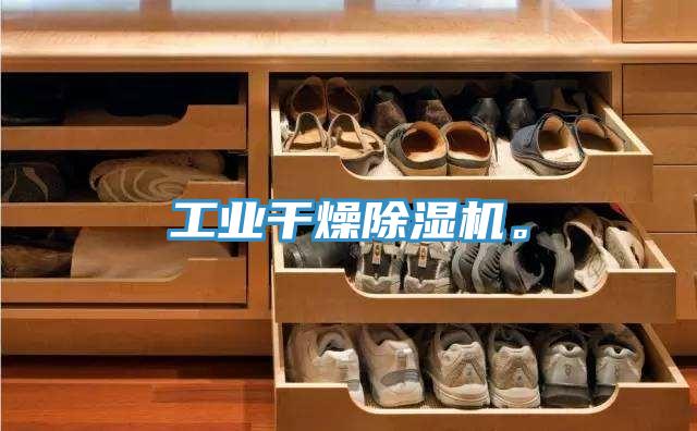 工業(yè)干燥除濕機(jī)。